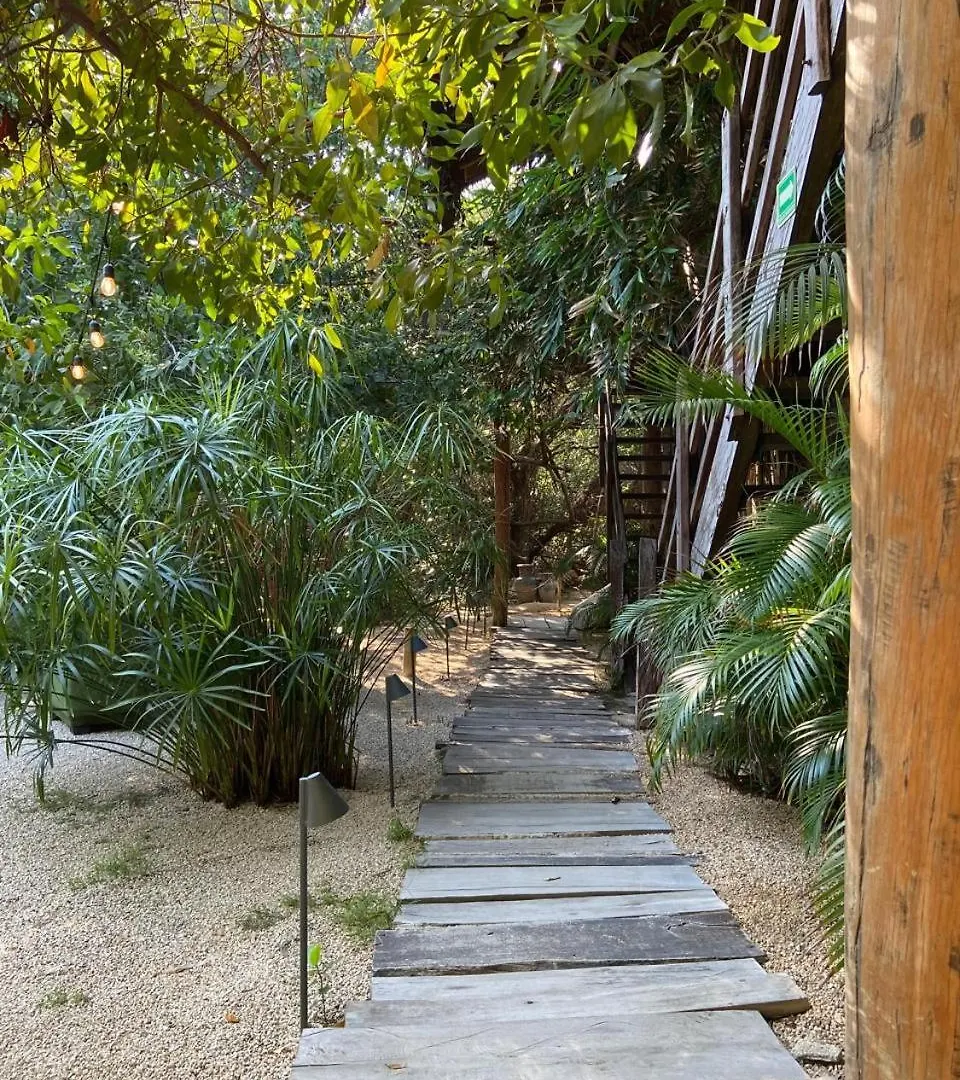 Amor Rooms Tulum