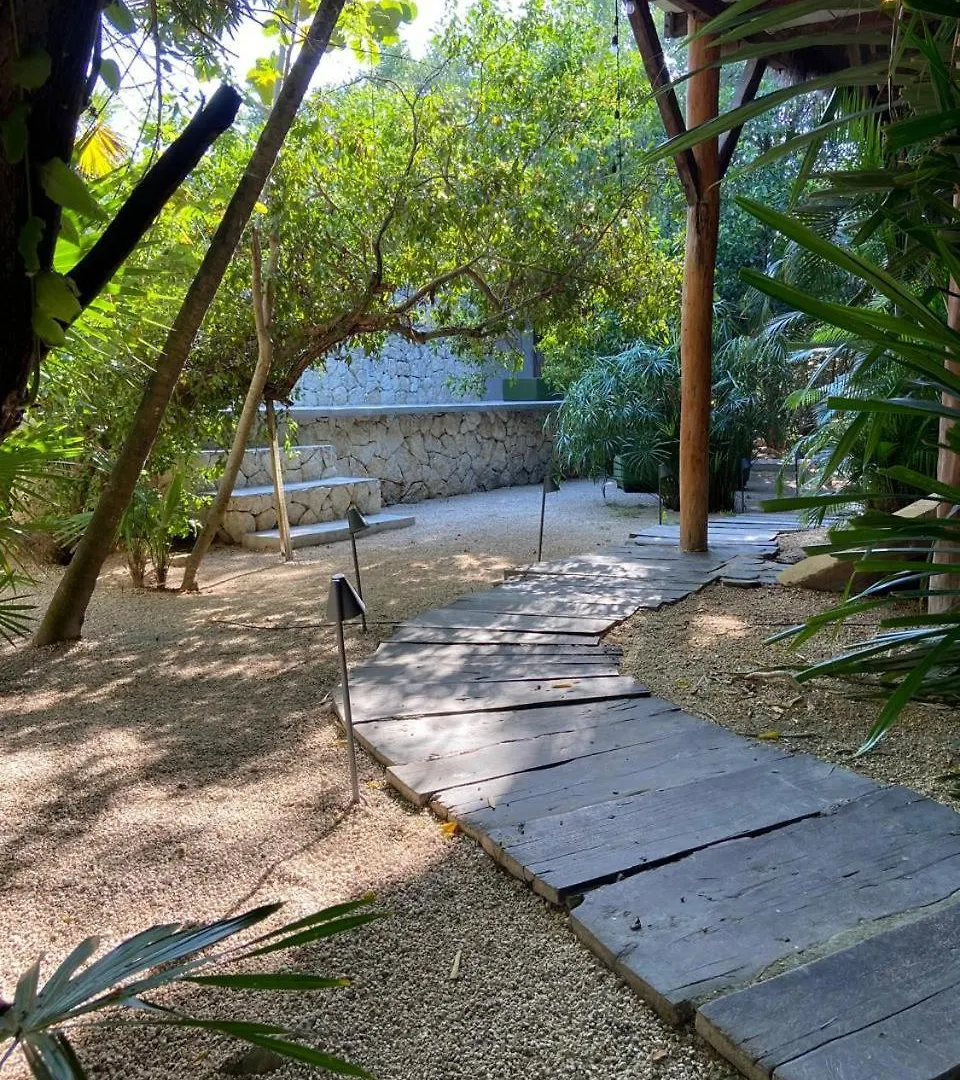 Amor Rooms Tulum Hotel